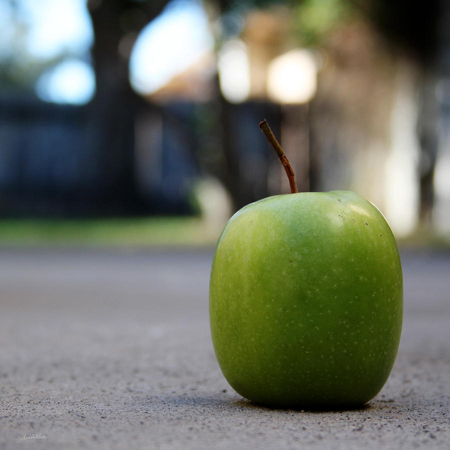 Nature Photograph - Green Apple- Photography by Linda Woods by Linda Woods