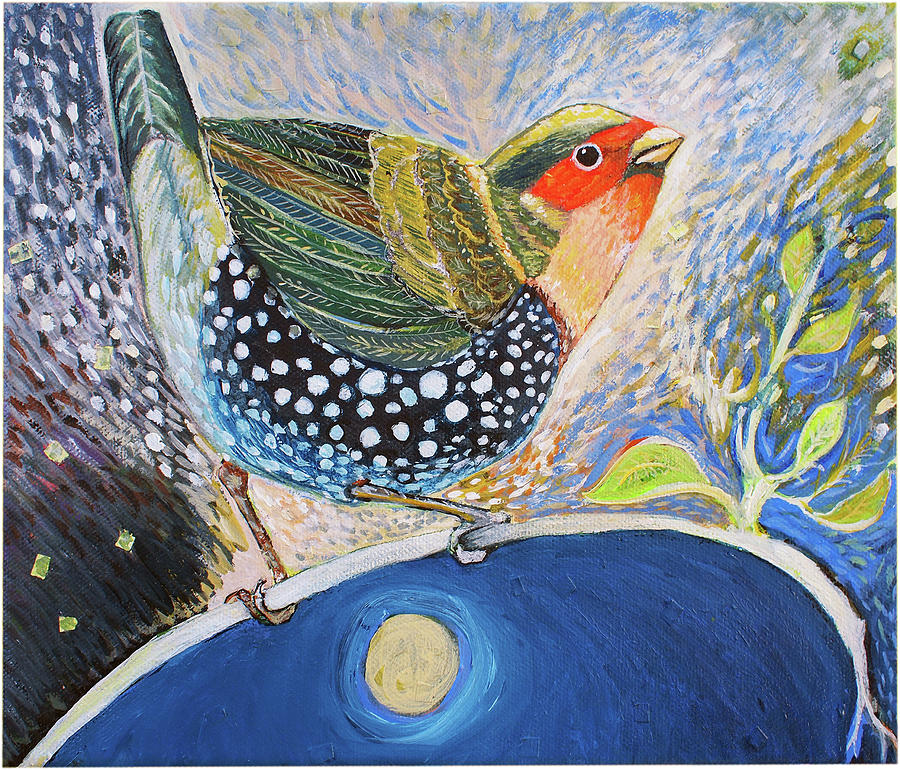 African Bird Painting - Green Backed Twinspot by Alicia Otis