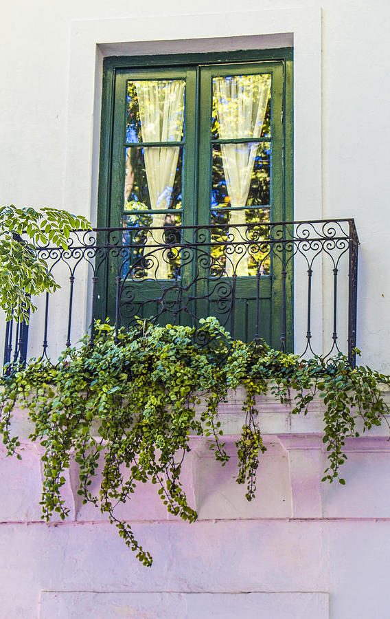 Green Balcony Doors, Colonia, Uruguay Photograph by Venetia Featherstone-Witty