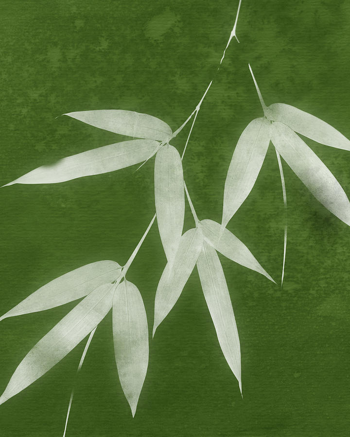 Nature Mixed Media - Green Bamboo 1-Art by Linda Woods by Linda Woods