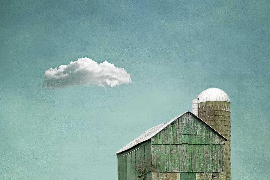 Green Barn and a Cloud Photograph by Brooke T Ryan