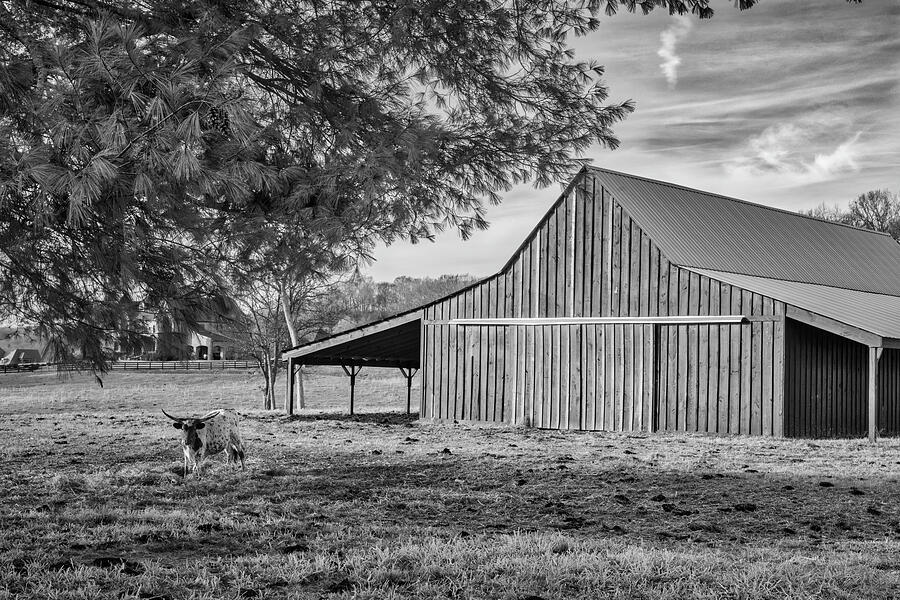 Green Barn Black And White Photograph by Lorraine Baum