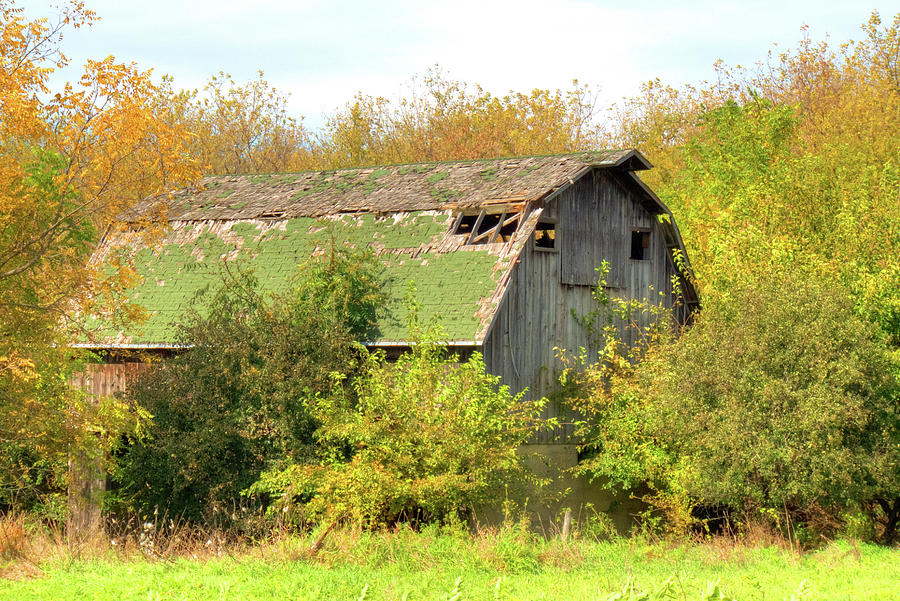Green Barn Photograph by Deborah Smolinske
