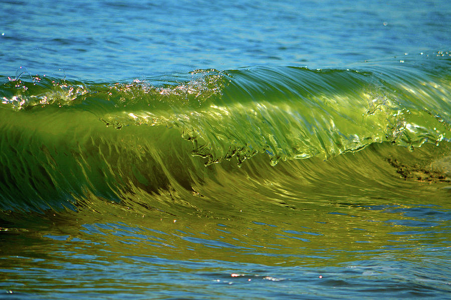 Green Beach Glass  Photograph by Dianne Cowen Cape Cod Photography