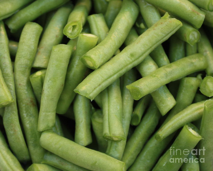 Green Beans Close-Up Photograph by Carol Groenen