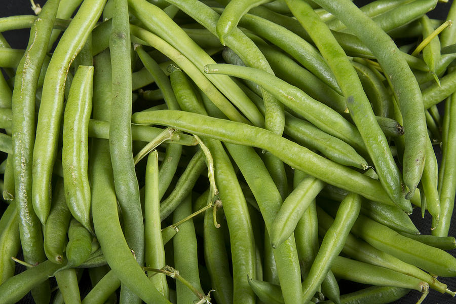 Green Beans Photograph by James BO Insogna - Fine Art America