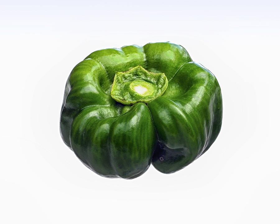 Green Bell Pepper on White Photograph by Bill Swartwout