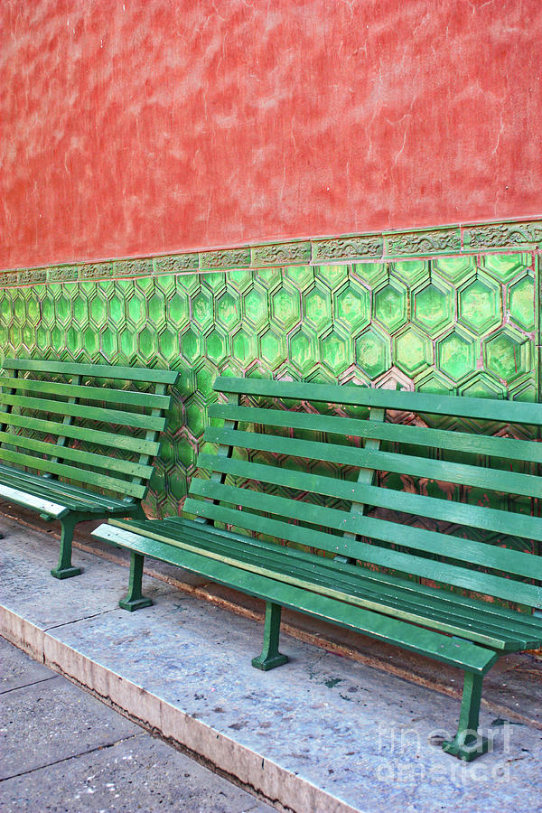 Green Benches Perspective Photograph by Carol Groenen