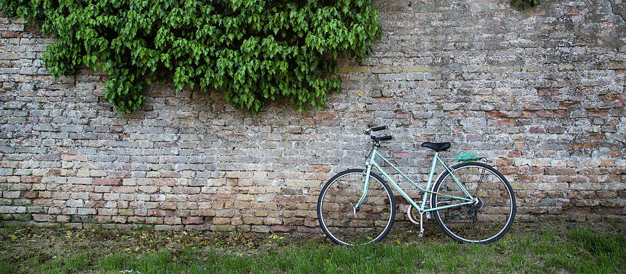 Green Bike on Brick Wall Photograph by Darryl Brooks