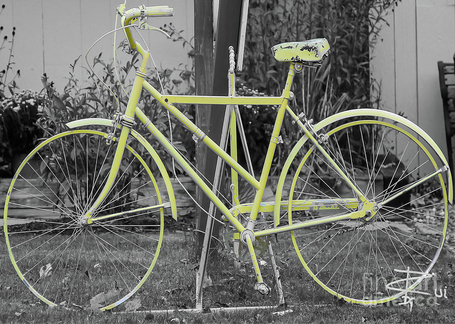 Green Bike Photograph