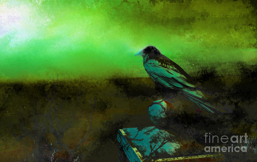 Bird Digital Art - Green Bird by Carol Pietrantoni