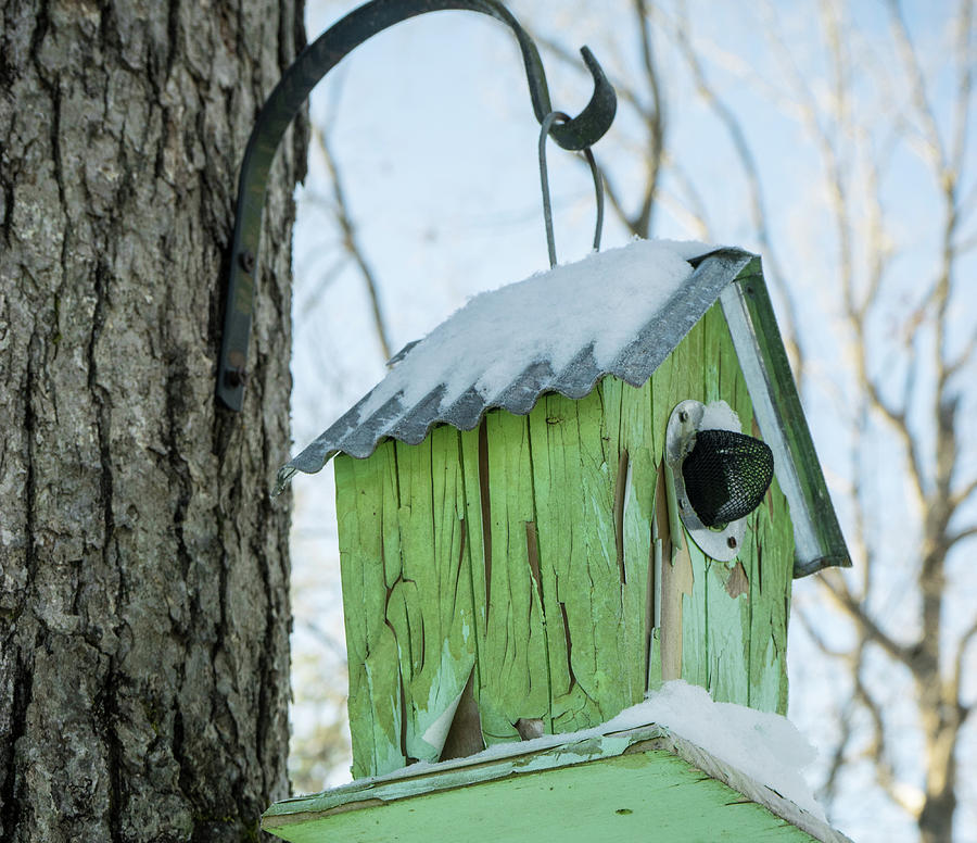 Green Birdhouse in the Snow Photograph by Douglas Barnett