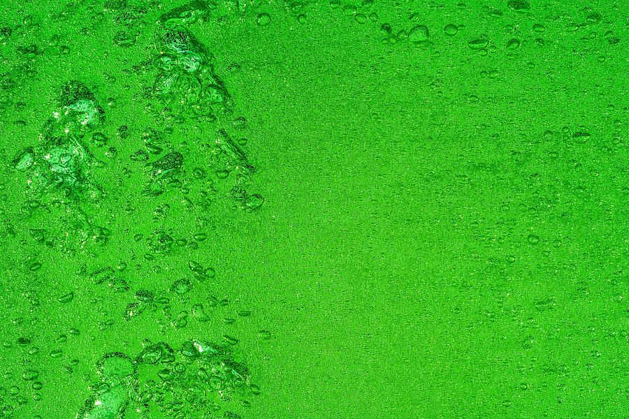 Green Bubbles 2 Photograph