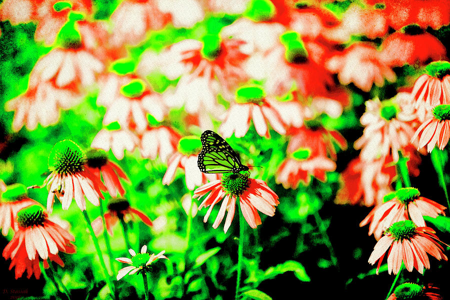 Green Butterfly Digital Art by David Stasiak