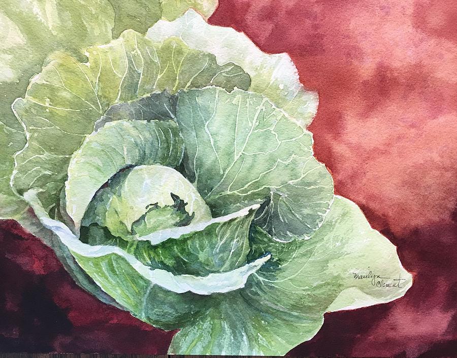 Cabbage Painting - Green Cabbage by Marilyn Clement
