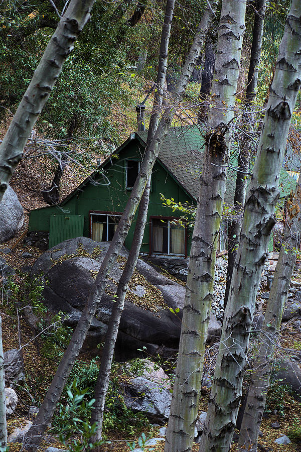 Green Cabin In Forest Photograph by Viktor Savchenko