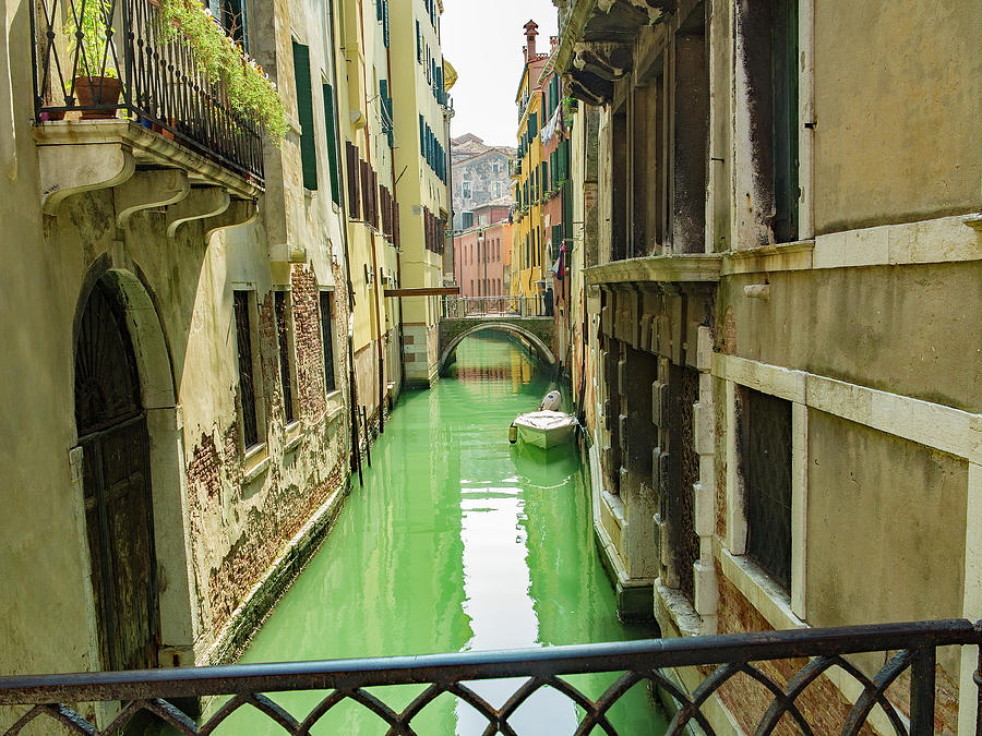 Green canal of Venice Photograph by Ed James