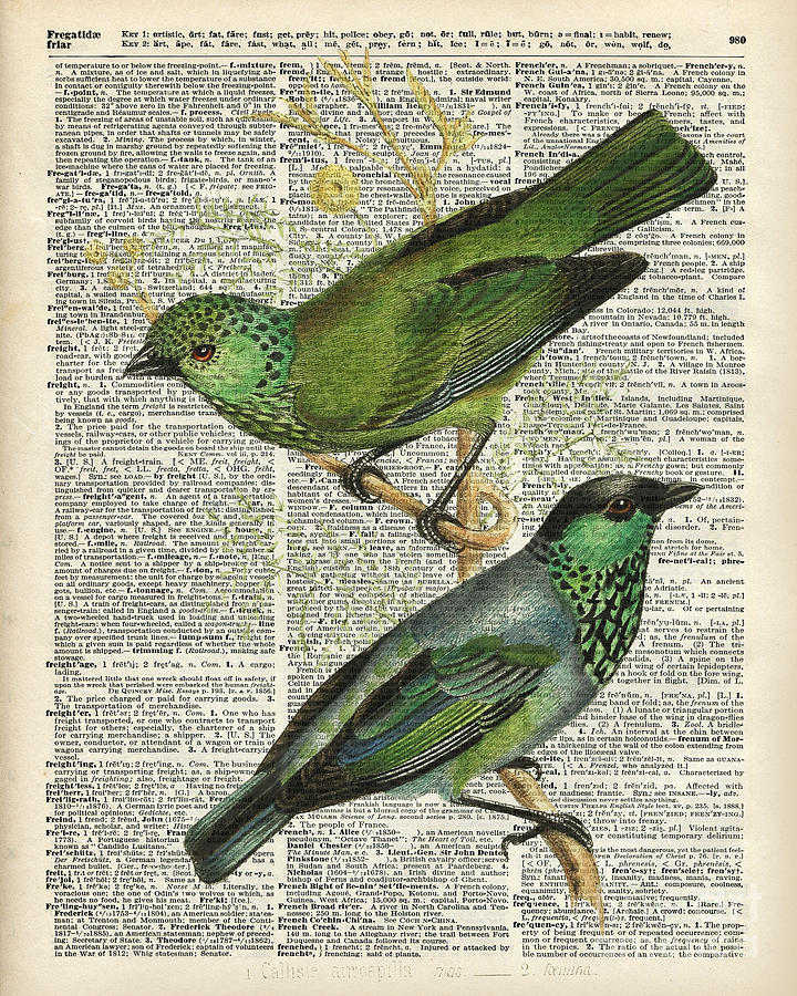 Green Digital Art - Green Canary Birds Couple Over Vintage Dictionary Book Page by Anna W