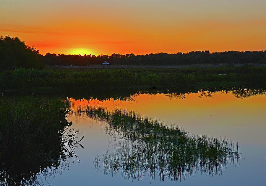 Sunset Photograph - Green Cay Wetlands Sunset  by Allan Einhorn