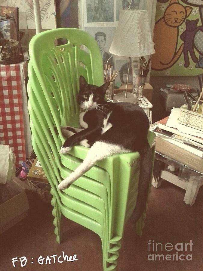 Green Chair Sitting Photograph by Sukalya Chearanantana