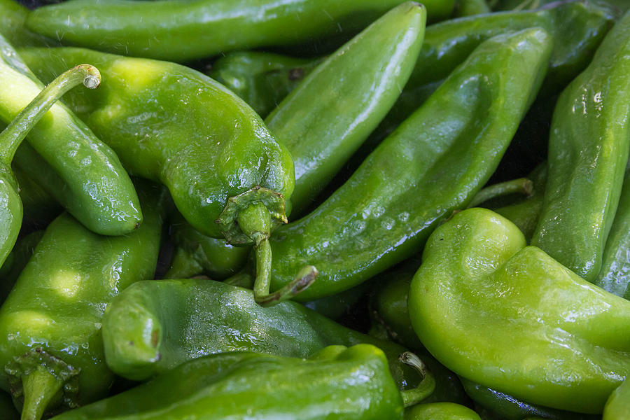 Green Chile Peppers Photograph by James BO Insogna