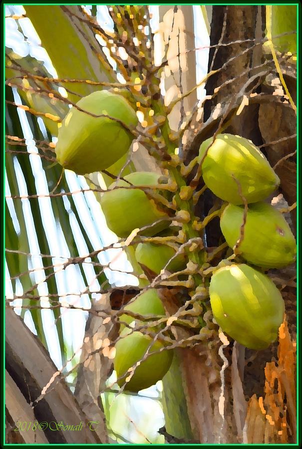 Green Coconut Photograph