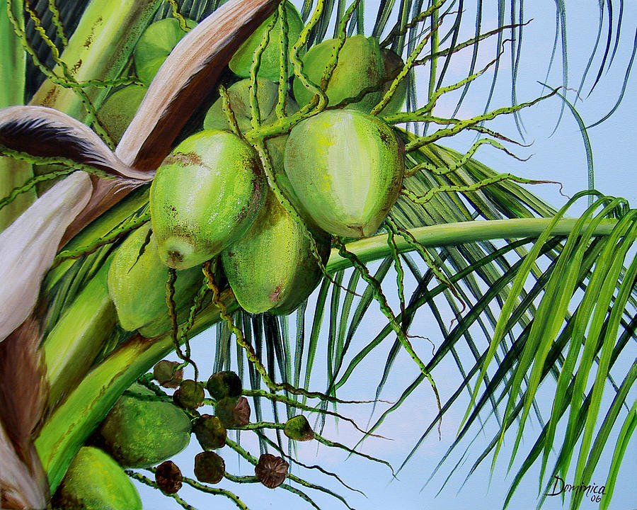 Green Coconuts-02 Painting by Dominica Alcantara - Fine Art America