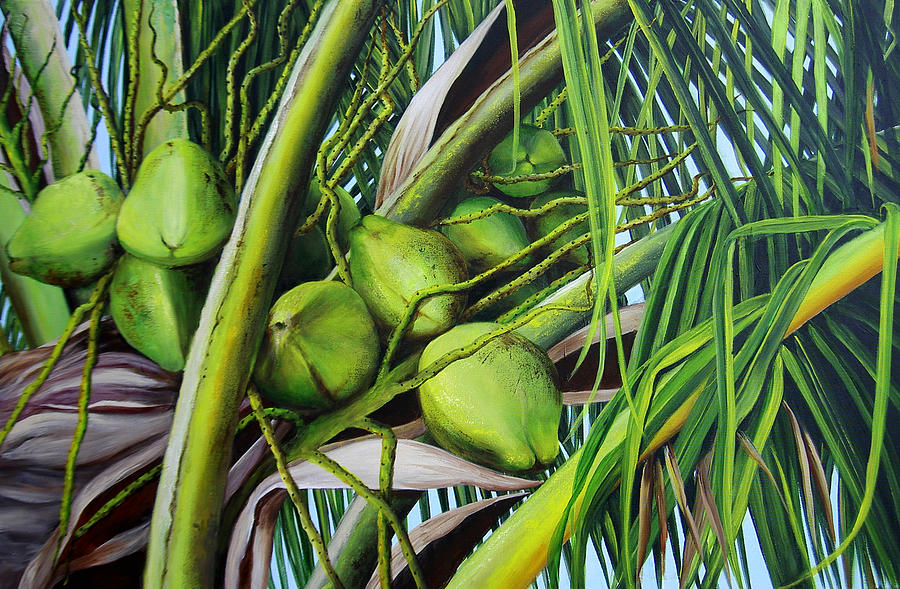 Green Coconuts- 03 Painting by Dominica Alcantara - Fine Art America