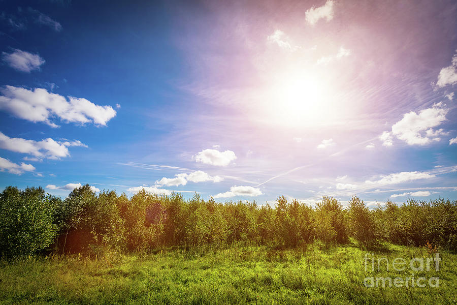 Green countryside meadow and forest line. Sun shining on blue sky Photograph by Michal Bednarek