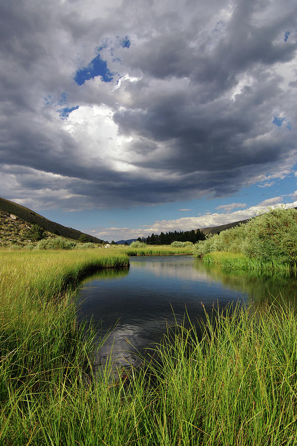 Green Creek 2 By Frank Hawkins by Eastern Sierra Gallery Green Creek 2 By Frank Hawkins by Eastern Sierra Gallery