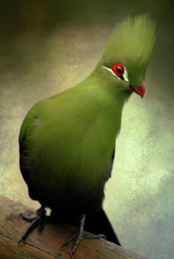 Green Crested Parrot Art Mixed Media by Georgiana Romanovna