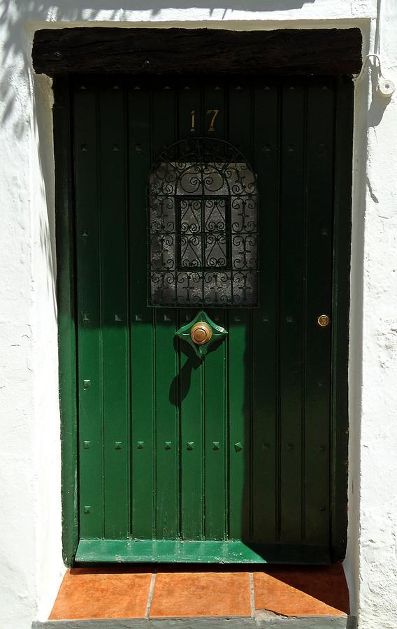 Green Door Photograph by Cati Simon