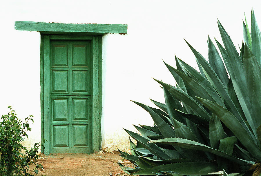 Green Door Photograph By Dallas Clites