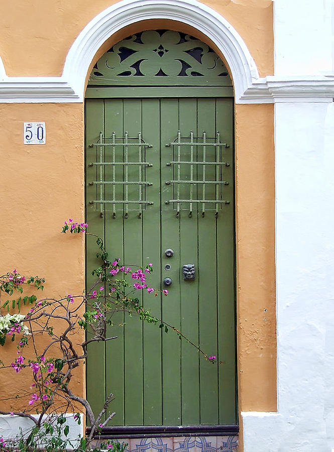 Green Door Photograph by John Rivera