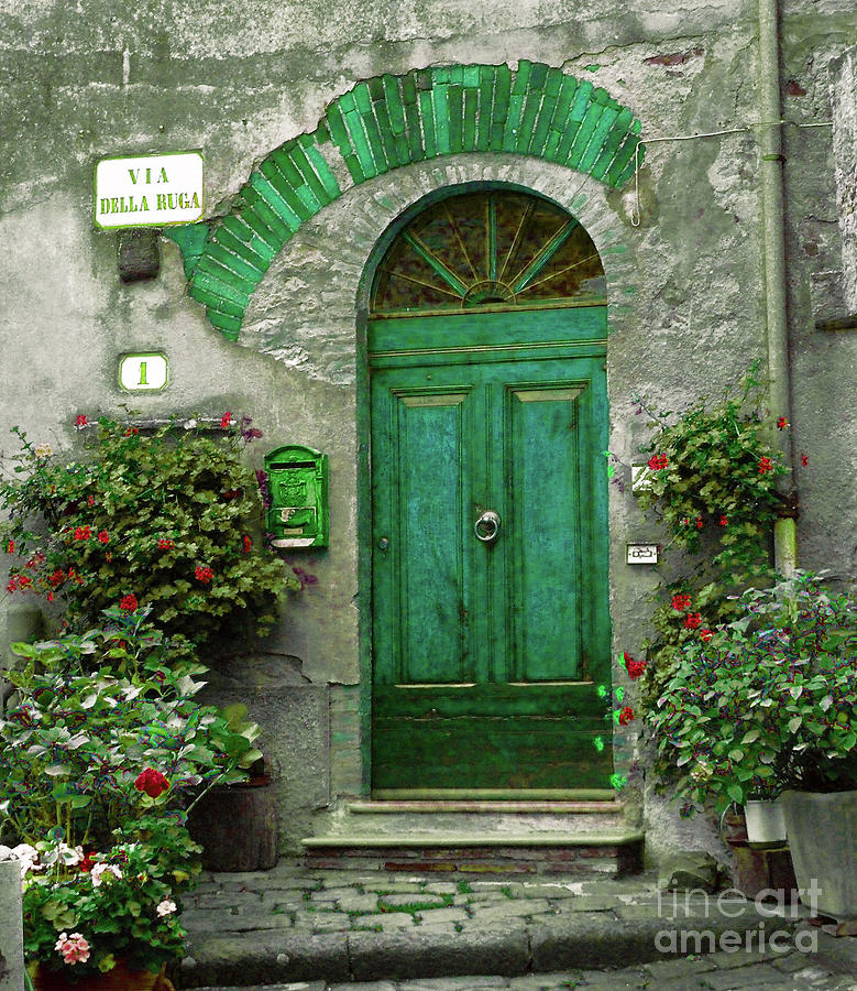 Flower Photograph - Green Door by Karen Lewis