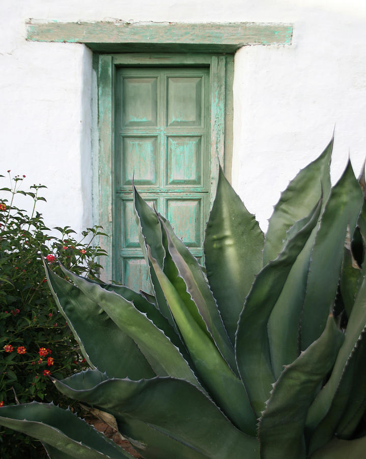Green Door Photograph by Ryan Workman Photography