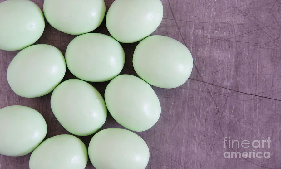 Green Easter Eggs  Photograph by Andrea Anderegg