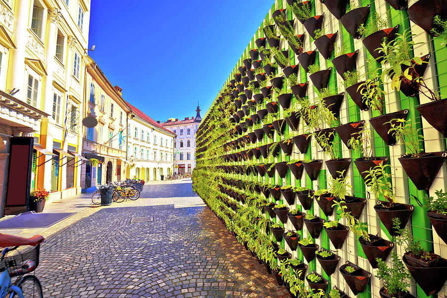 Green eco wall in Ljubljana city center Photograph by Brch Photography