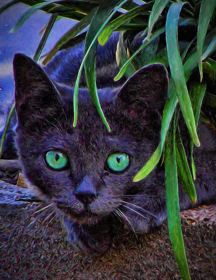 Green-Eyed Cat Photograph by Shannon Story