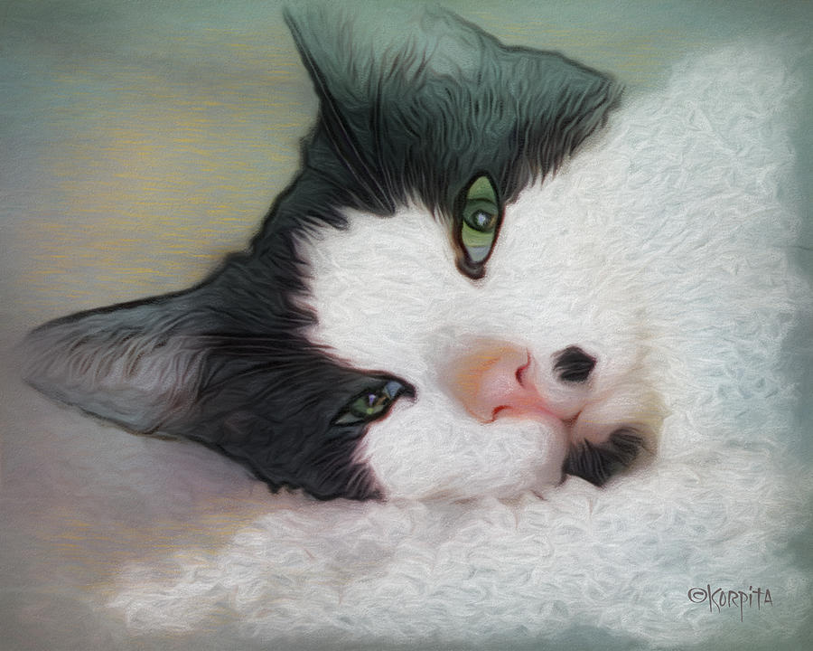 Green Eyed Cat - Sleepy Kitty Photograph by Rebecca Korpita
