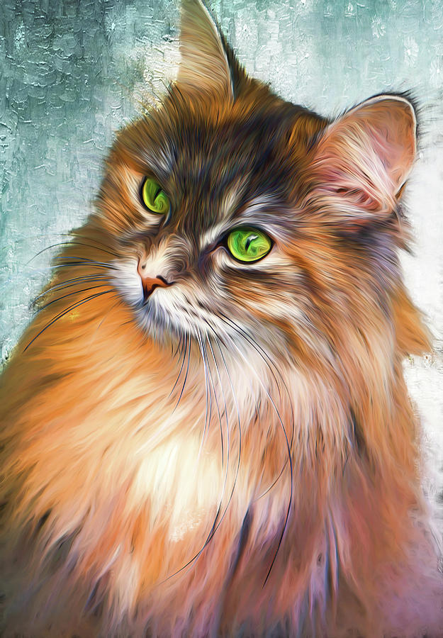 maine coon green eyes