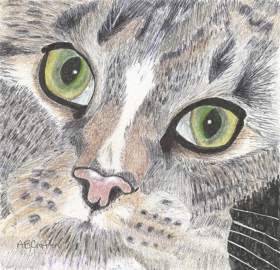 Green Eyes Drawing by Arlene Crafton