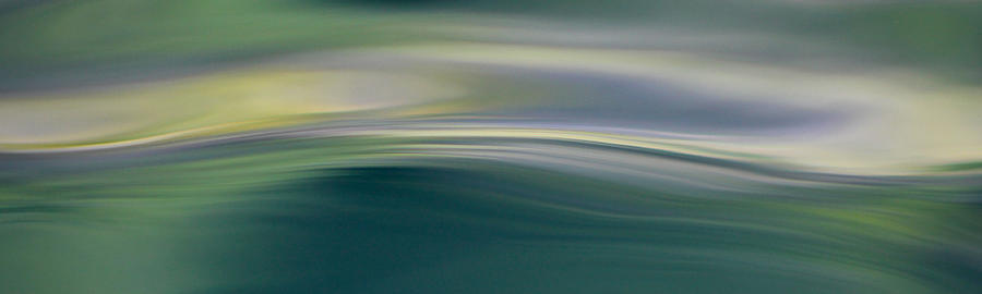 Green Feather Water Photograph by Cathie Douglas