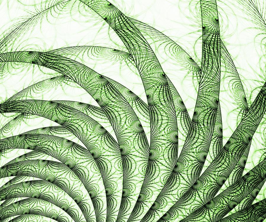 Green Fern Digital Art by Anastasiya Malakhova