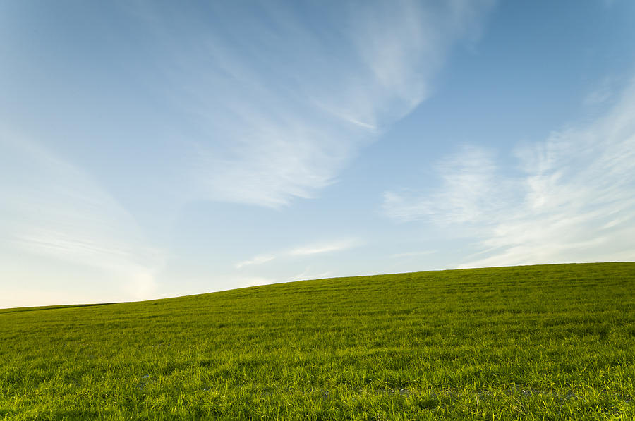 Green field and Blue sky Photograph by Michalakis Ppalis