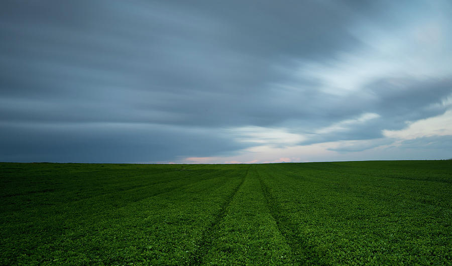 Green field and cloudy sky Photograph by Michalakis Ppalis
