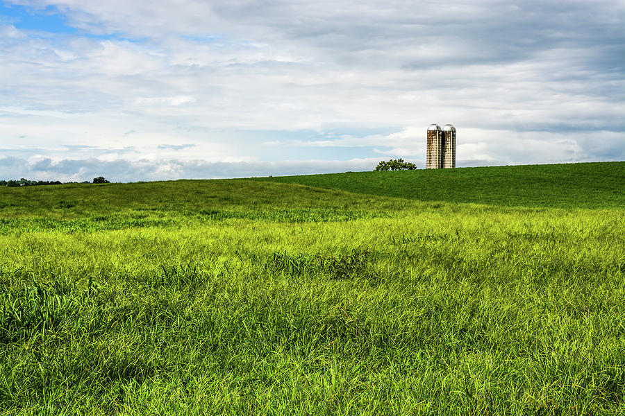Green Field and Silos Photograph by Tana Reiff