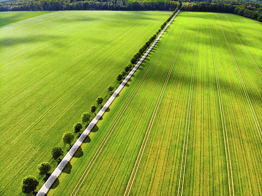 Green fields and trees from above aerial view Photograph by Matthias Hauser