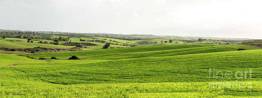 Green Fields. Photograph by Arik Baltinester
