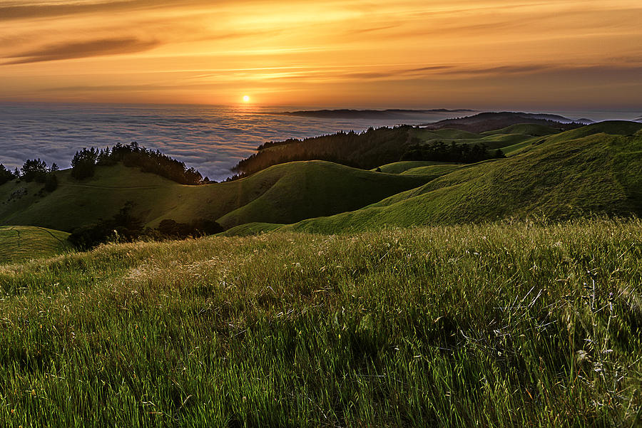 Green Fields at Sunset Photograph by Don Hoekwater Photography